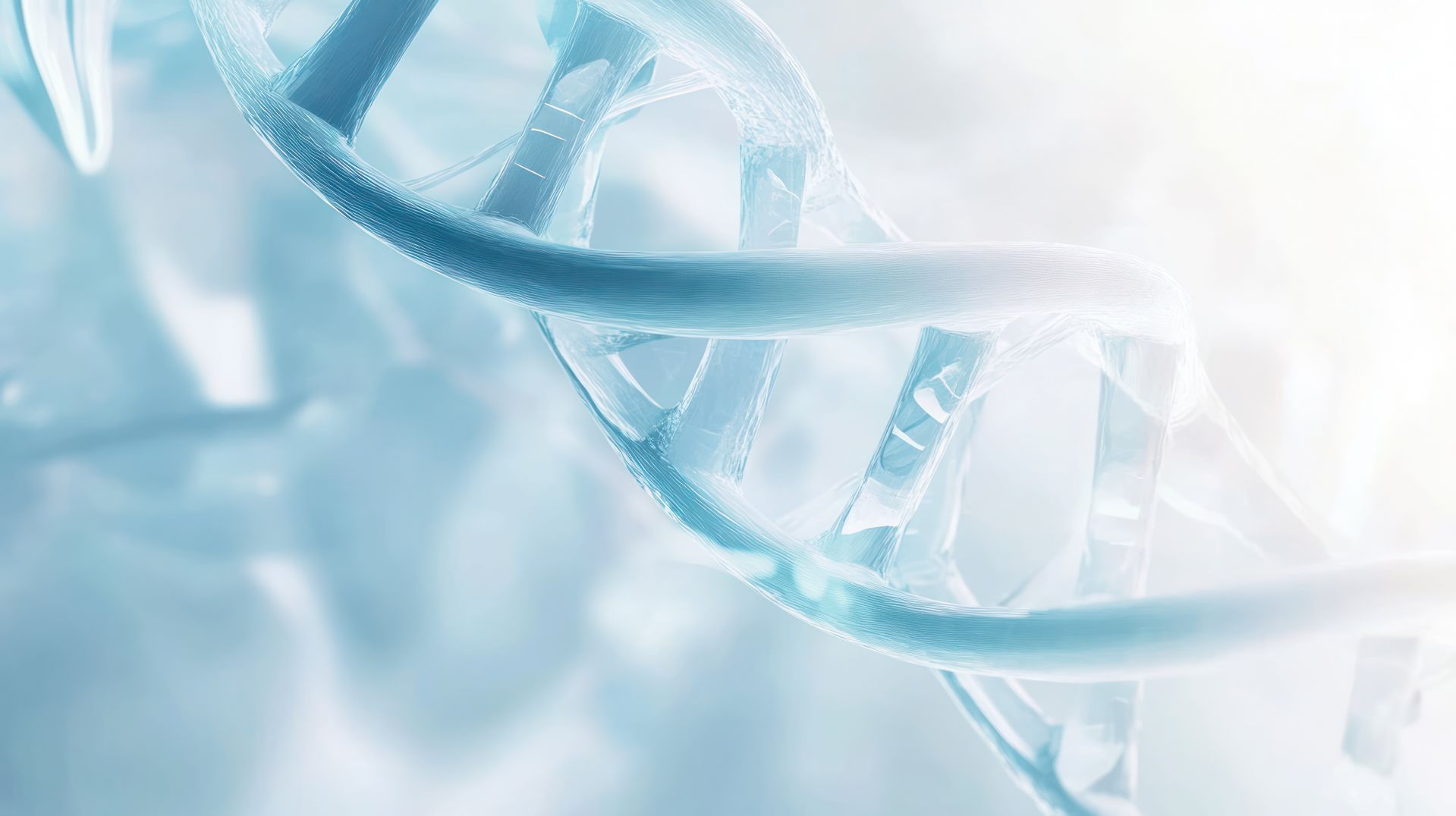 服務項目:萌麗酵素、細葉山艾、鳳梨酵素、麥角硫因、酵素益生菌