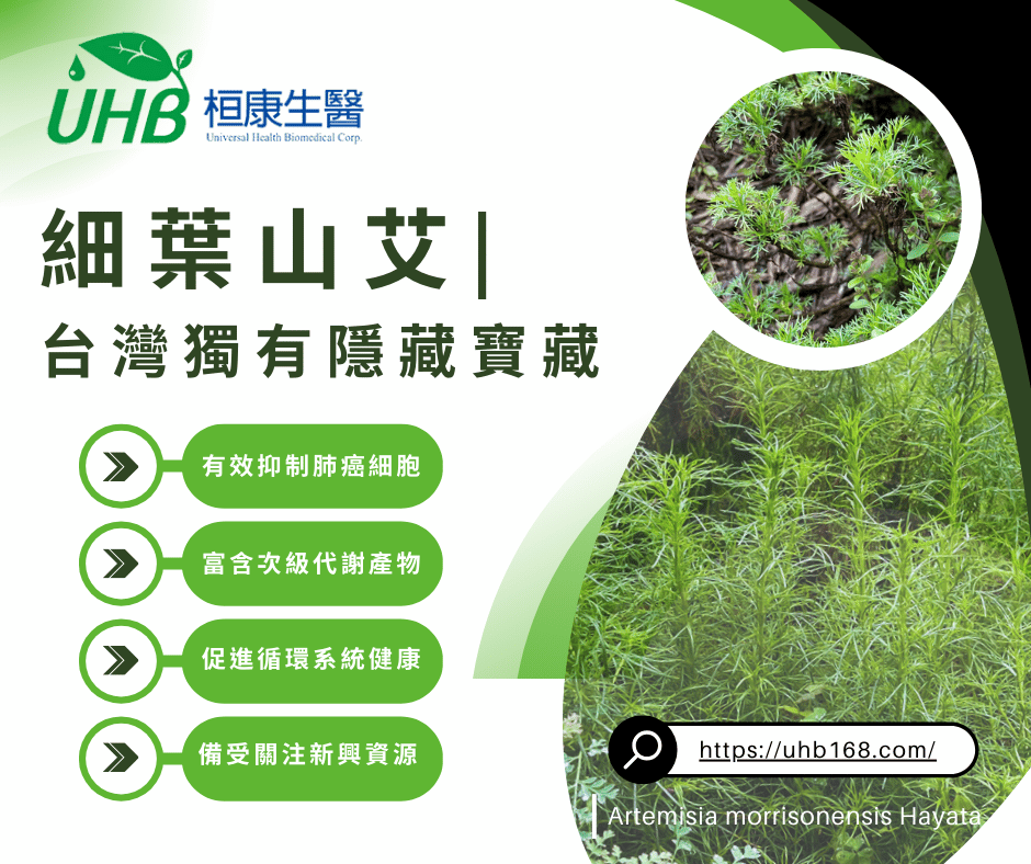 細葉山艾：台灣獨有的隱藏寶藏，能否成為抗癌新希望？