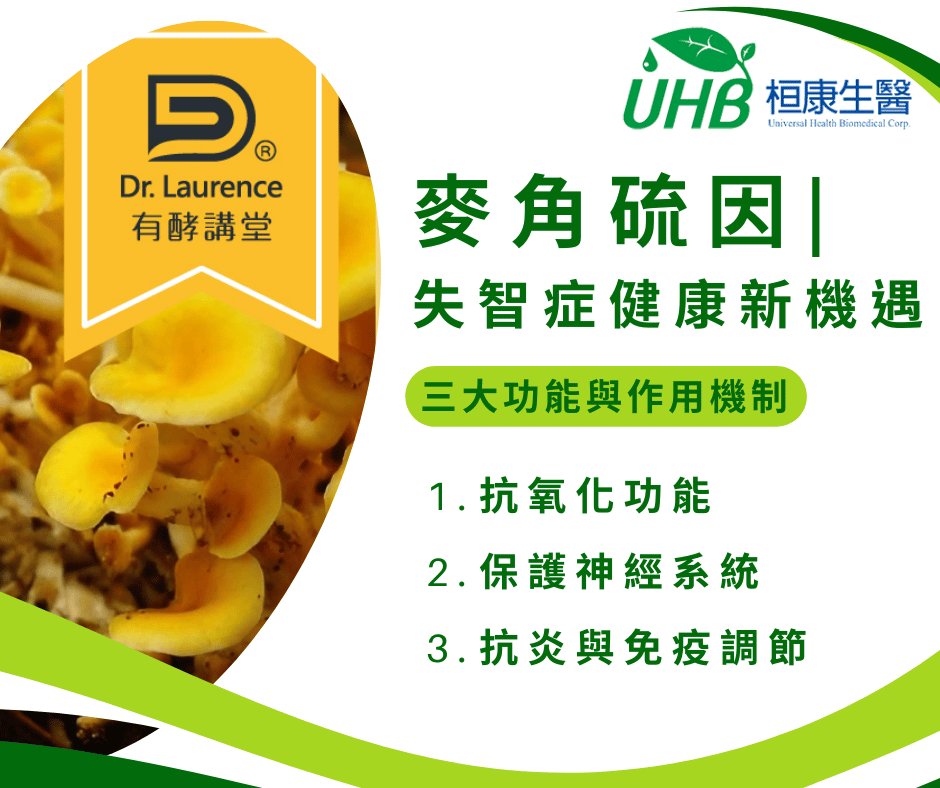 失智症健康新機遇：麥角硫因能否改寫腦部保健的未來？