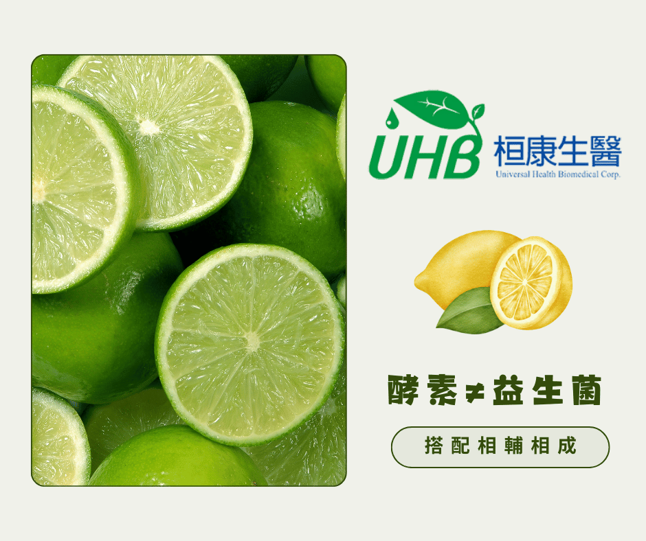 檸檬酵素是什麼？跟檸檬益生菌不同嗎？兩者相輔相成達到最好的吸收！